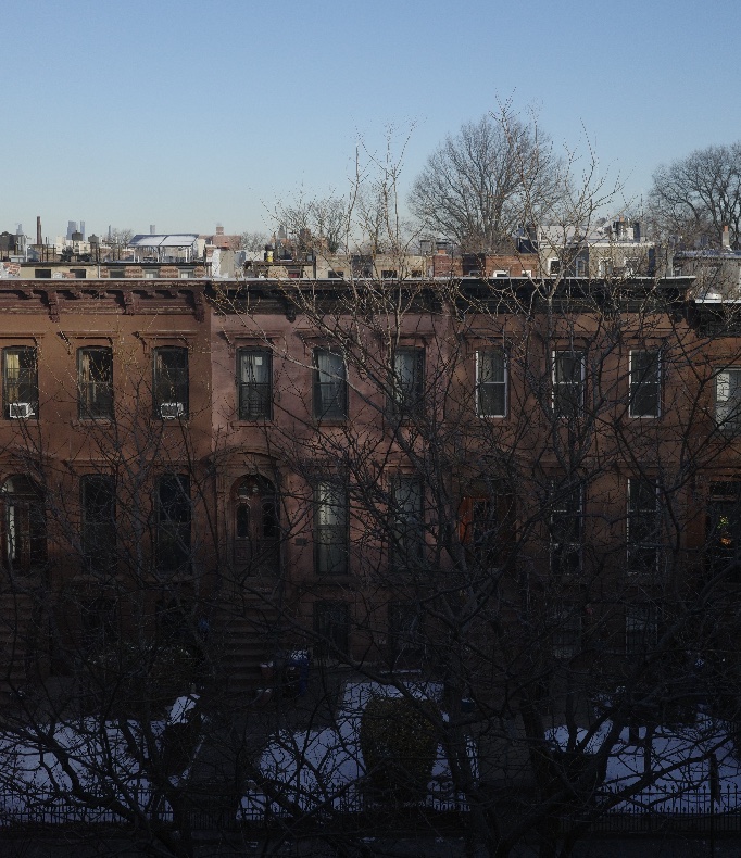 Brooklyn brownstone homes viewed through winter trees