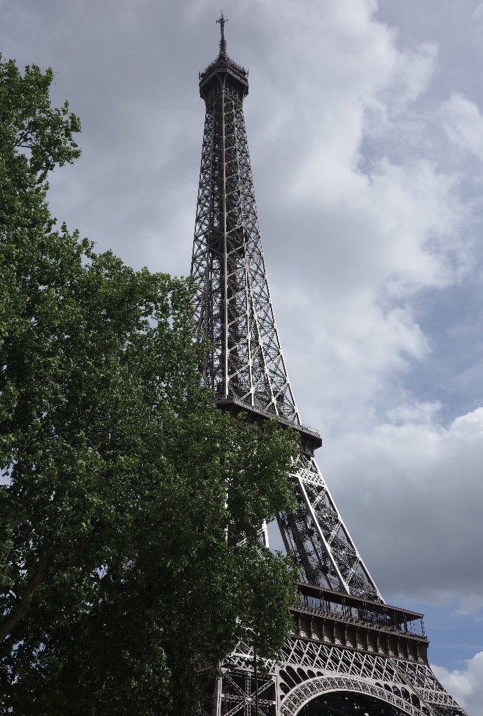 The Eiffel Tower rising above green trees in Paris